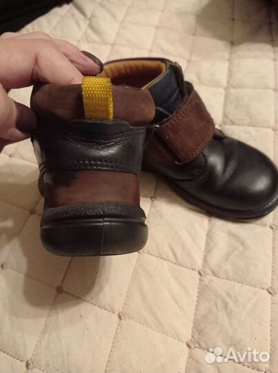 Ботинки + Кроссовки 25 ecco