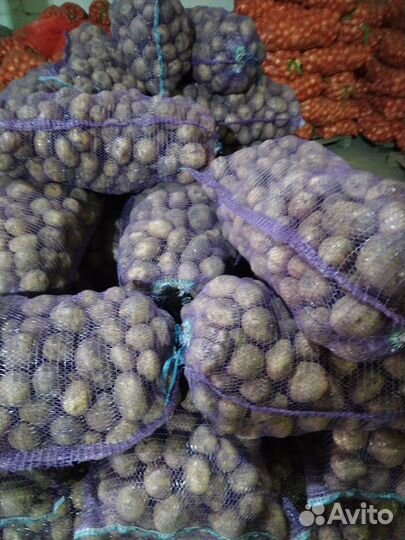 Продам картофель