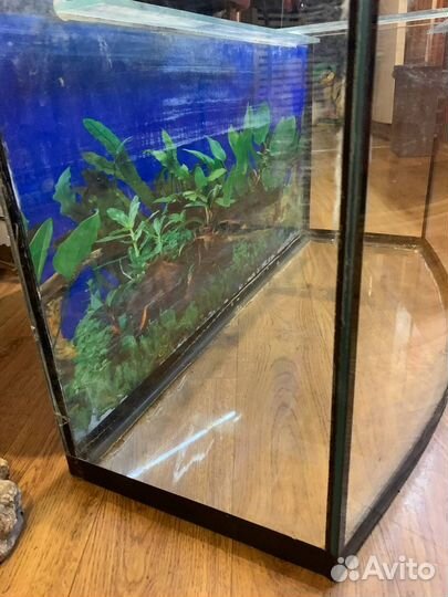 Аквариум 70 или 85 литров