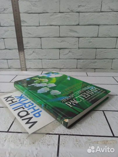 Современная энциклопедия лекарственных растений