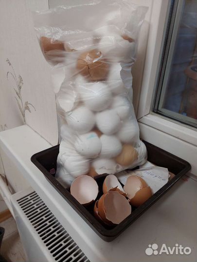 Яичная скорлупа 0,5 кг