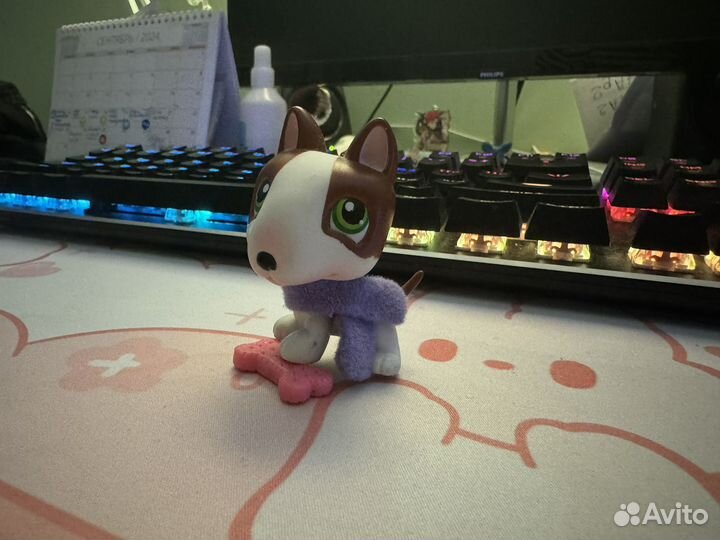 LPS #154 Бультерьер