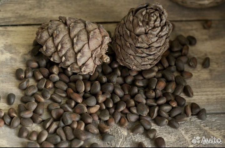 Кедровый орех