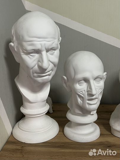 Гипсовые головы и фигуры