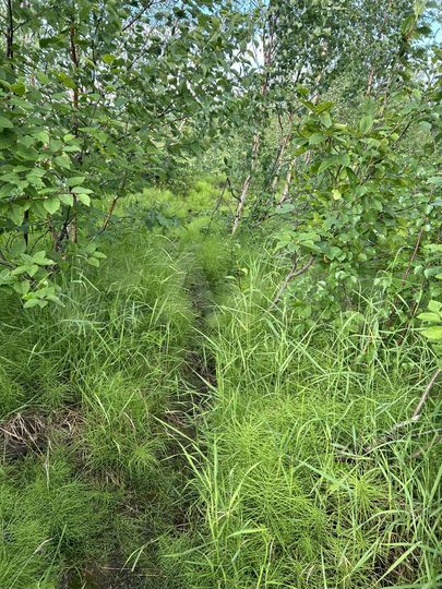 Дача 20 м² на участке 5 сот.