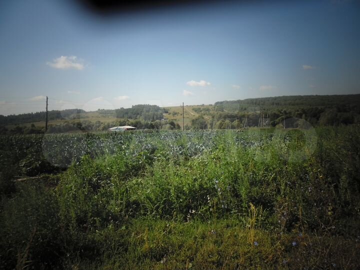 Участок 82 га (СНТ, ДНП)