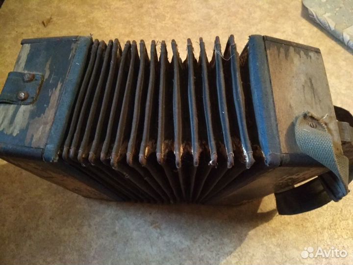 Гармонь 