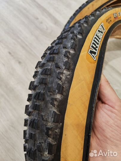 Велосипедные покрышки Maxxis Ardent 29