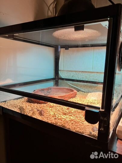Террариум для рептилий бу с лампами