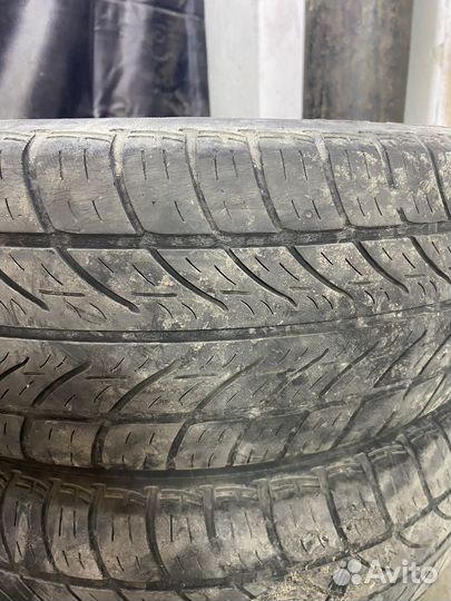Tigar Sigura 175/65 R14