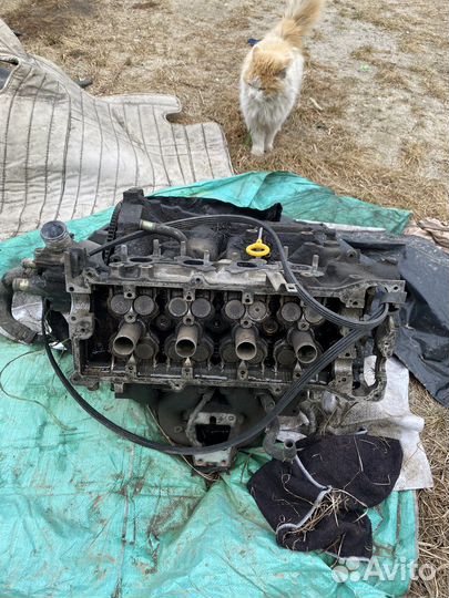 Двигатель, гбц ниссан куб cg13