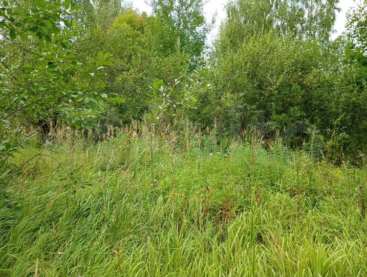 Участок 12 сот. (ИЖС)