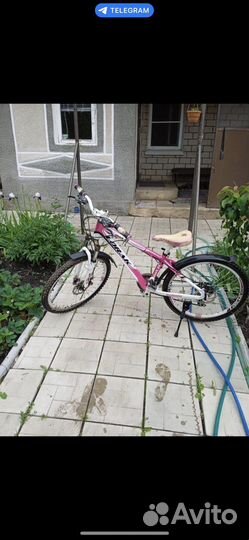 Велосипед Lorak shark 24