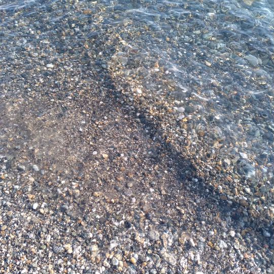 Участок 4,9 сот. (СНТ, ДНП)