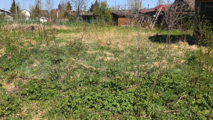 Участок 6 сот. (СНТ, ДНП)