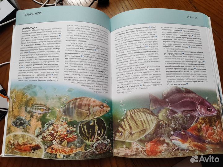 Энциклопедия