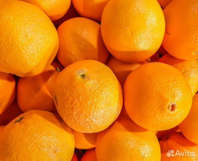 Разнорабочие на мандарины вахта Петербург