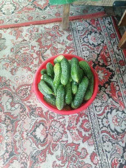 Огурцы,малина,кабачки