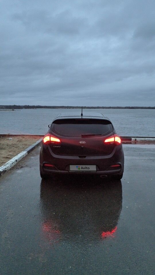 Kia Ceed: фото владельца