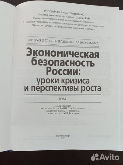 Экономическая безопасность России том 1 год 2012