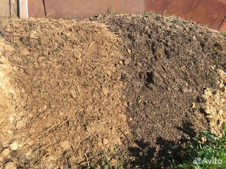 Конский навоз