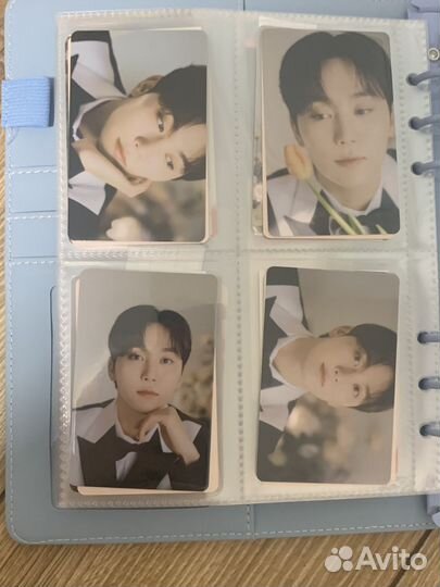 Альбомы seventeen fml (зеленый и лимитка)