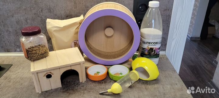 Принадлежности для сирийского хомяка