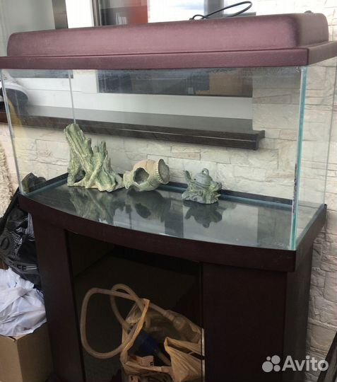 Аквариум с пластиковой тумбой 100 литров б/y