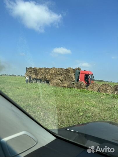 Сено в рулонах