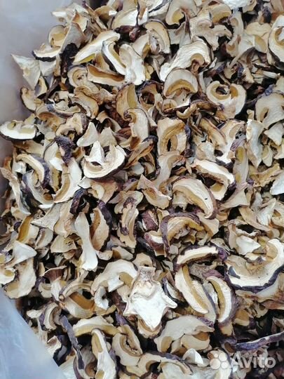 Грибы Белые