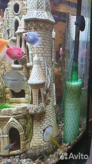 Фильтр предварительной очистки для аквариума