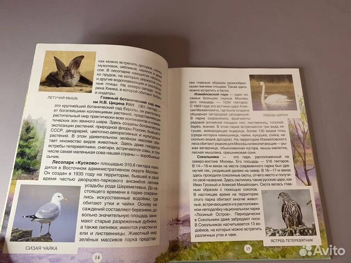 Детская книга