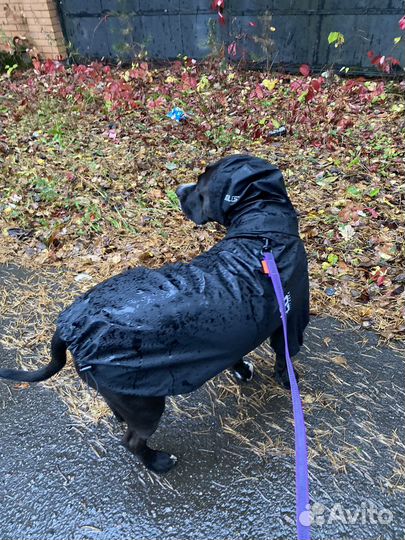 Куртка дождевик для собак