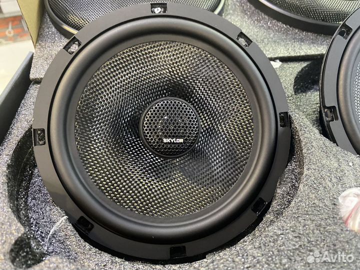 Акустическая система Skylor EVO6