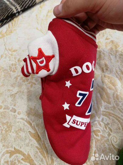 Одежда для маленьких собак