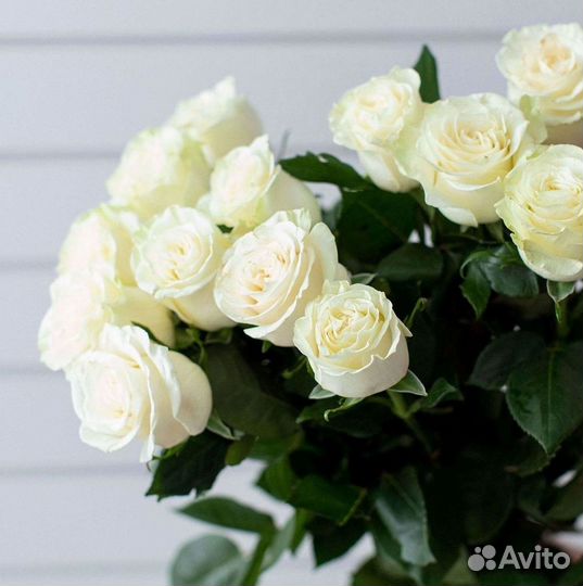 Высокие Высокие розы Гигантские розы Букеты Достав