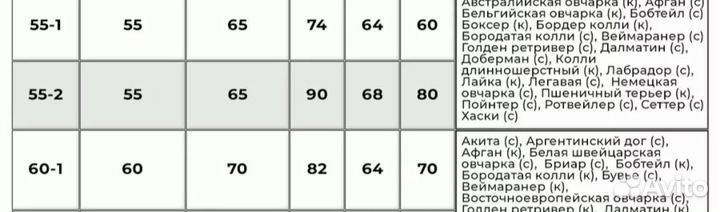 Одежда для собак