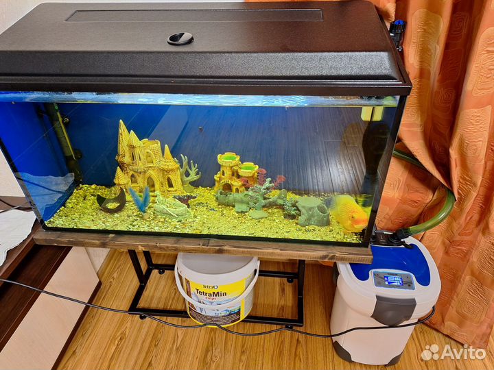 Аквариум с рыбками