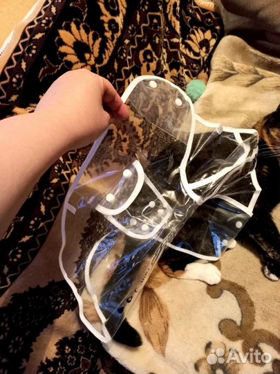 Дождевик для маленькой собачки