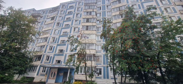 2-к. квартира, 51,5 м², 2/9 эт.