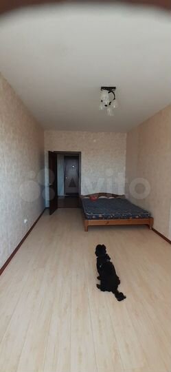 1-к. квартира, 43 м², 13/17 эт.