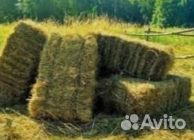 Сено луговое в рулонах и в квадратных тюках