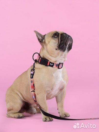 Поводок United Pets для собак Complete me Forever