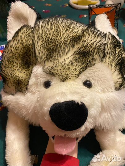 Шапка-хаски