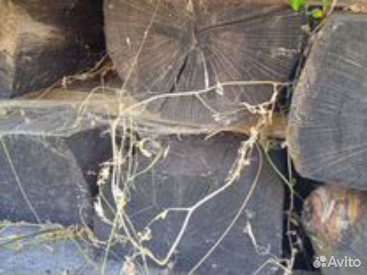 Серебряное кольцо мужское печатка