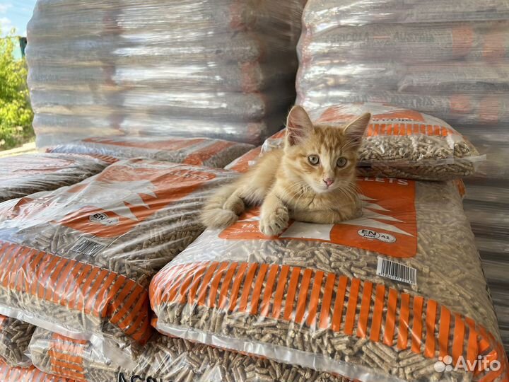 Наполнитель для животных