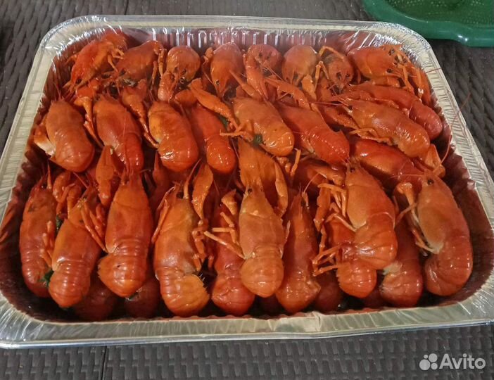 Живые раки с доставкой