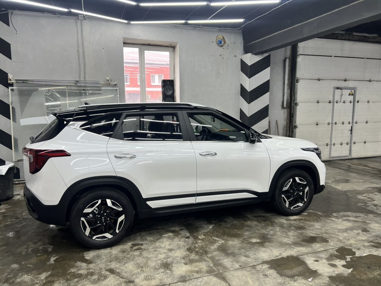 Kia Seltos: фото владельца