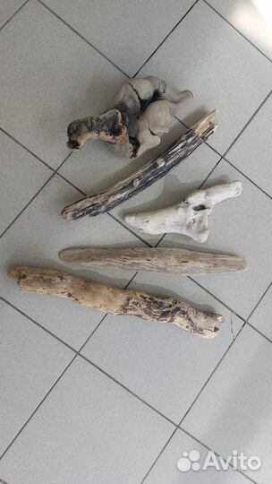 Коряги для террариума дрифтвуд