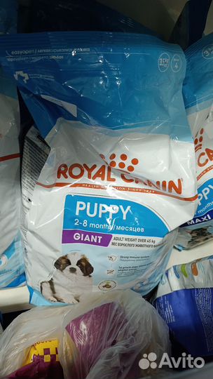 25 % до 23.02 Корм для собак royal canin